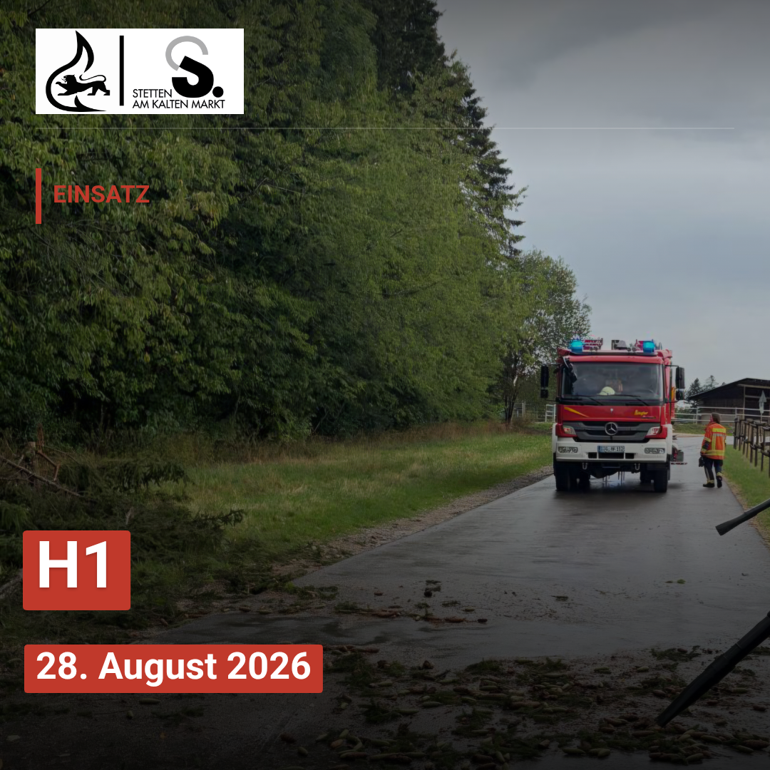 H1 Baum über Straße